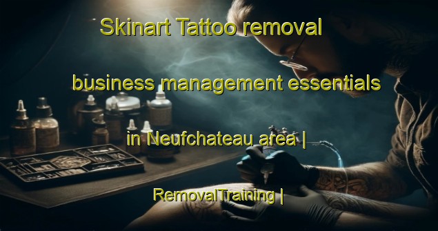 Skinart Tattoo removal business management essentials in Neufchateau area | RemovalTraining | RemovalClasses | SkinartTraining-France